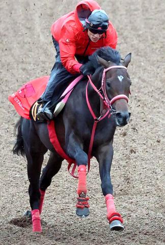 【POG】ブラストワンピースの半弟アイムインがデビュー　加藤征弘調教師「追うごとに走りが軽くなってきた」