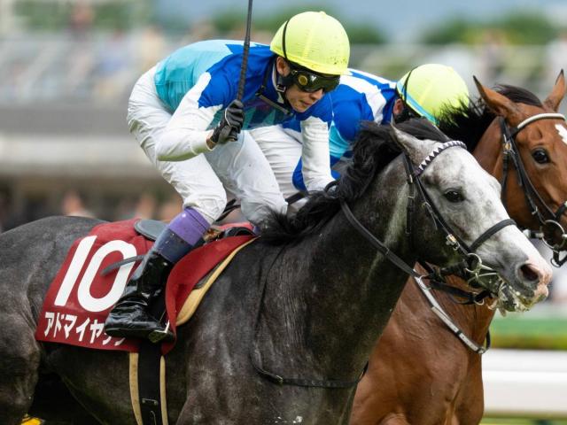 ハーツクライの軌跡 2005年有馬記念を制覇 スターを下した叛逆の遺伝子