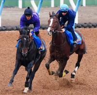  �ڥ��를������¹��աۥ��������ѡ������饳��ӤΥס�������ؤ˿��Ӿ塹!