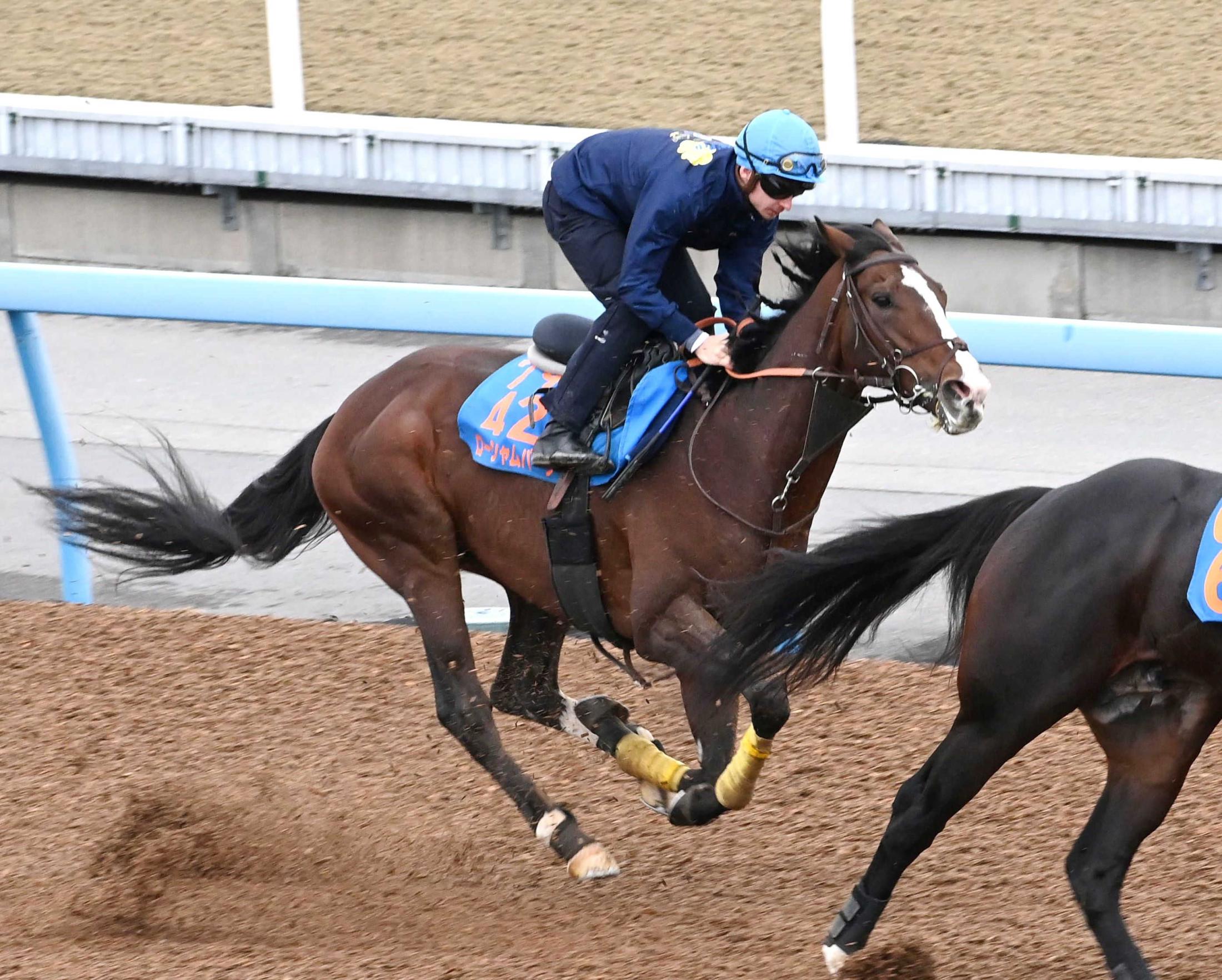 【アルゼンチン共和国杯】ローシャムパーク　喉の不安＆トップハンデを克服し勝ち星掴む　田中博師「時計的には十分」