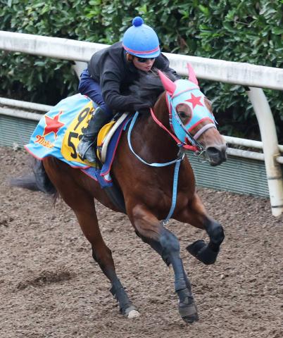 【みやこS】4歳馬勢が人気も血統から買えるのは3歳のレイナデアルシーラ