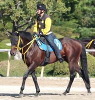  ڥ를¹աۥ᡼뵳굳Υƥ󥬡饹͵⡢Ͽ͵7Х磻ɥڥ顼㤤!?