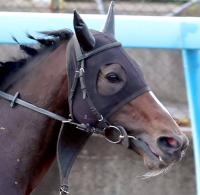  ڥ를¹աۥ᡼뵳ꥹȥå!ƥ󥬡饹2ǳ3Ϣ³žVʤ餺