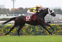  ڥ를¹աֿۣ͵Υߥƥ꡼䤫ƨǣ֡ǯܤξܽž޽龡