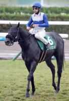  �ڤߤ䤳S�ۥե������С�������夬���Ƥ����š������ɥ�����̤�3�塡������������֤Ϥޤä��Ȼפä���  ��