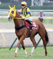  ڥ를¹աۥܥɥա11塡˵֥饹50᡼ȥǰ쵤ơġ