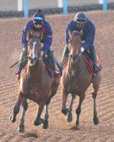  ڥꥶ٥աŸ˾ۥ쥬쥤餬ǯ5Υ٥󥸤ʥåĥ֥饦ľԥ