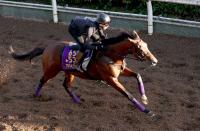  ɥޥ䥺बޥãӤءͧƻաäơ