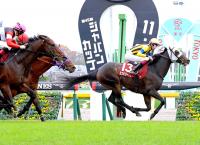  ڥ를¹ա۸Ĺȥå統ž޽ơ9ֿ͵ߥƥ꡼ƨ᤿