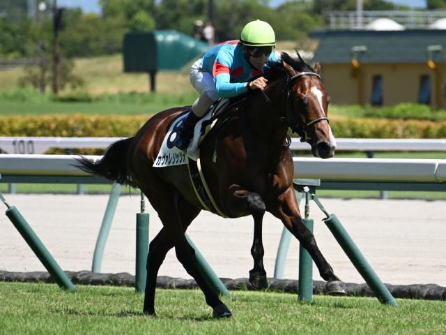 【デイリー杯2歳S予想オッズ】カヴァレリッツォが予想1番人気