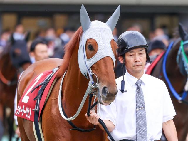 【マイルCS】2年目の高杉吏麒騎手 ウォーターリヒトでGI初制覇なるか