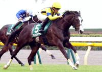  ����ƥߥ�S���ƤΥե������ƥե��ˤ�������ζ�秱�ǰ��ࡡ������ϥ����륪�ꥨ�󥹤�Ⱦ��