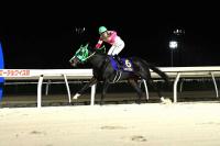  ڥۥåɥϡ۾ϡ¤Ǵָ굳衡251225ޤ