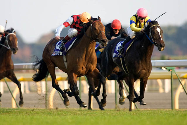 第41回ジャパンカップ　全出走馬のストラップ 第41回ジャパンカップ 全出走馬のストラップ 第41回ジャパンカップ 全