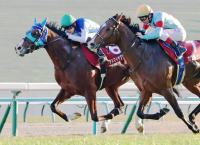  ڥǥ꡼2Sۥɥޥ䥯å2Х쥳ɤǽž޽