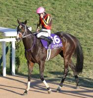  ڥꥶ٥ա糰ȤΥ󥯥ƥåפ4塡CǥࡼϲŦֱ˥⥿Ȥ