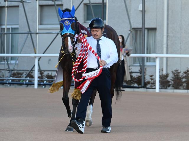 【デイリー杯2歳S】売上は22億300万8700円で昨年より約7億円増加