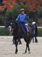  �ڥޥ���CS�ۥ������å��塡��˾�ε����ؤ�ꡡϢ�Ƥءֽ�Ĵ��