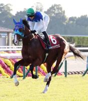  ưۥǥ꡼2Sɥޥ䥯åīFSء³ȤΥ