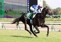  ưۥǥӥ塼2Ϣǿ2Sꥢ饤ꥦīFS