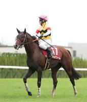  ��������ư���ۥ���ʥ����ब��ҹ����Ӥ��ˤ��ͭ�ϵ�ǰ����򡡶���Ĵ���աֺ���Τ��ȤϤޤ�����Ū�ˤϷ�ޤäƤ��ޤ����