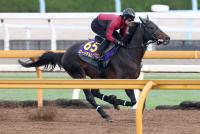  ưŷľޡ򤷤ɥǥ쥤åפξԤ