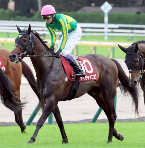 【注目馬動向・3歳&古馬】毎日王冠3着のサトノシャイニングは西村淳也騎手とのコンビで鳴尾記念へ