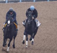  ݡ2Sۥȥϥޡɵؤ϶ӤϪ֤Ϥ1ƬȻפ