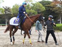  ŷľޡΥХ󥷥åϥ᡼ȤΥǹĩ