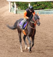  ڥޥCSۥ󥿥ޥ󥿥λž夬ꡡĴա֤ɤɤ󼫤ɤʤäƤ