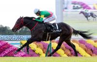  ڵ9Rƾޡ2ֿ͵ΥꥢľǳڡȴФƲʿֶϤǤ