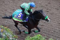  �ڥޥ���CS��(9)����ȥ�Х����������ѵ��ۡ��������ե��֥��å������äƤ����