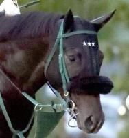  ��������ư���ۥ���ѥ󥫥åפΥ�������ϡ��ǥ�����¼��������ˡ�����ι��������꤬����Τ���