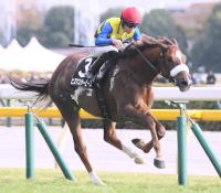  9R־ޡۥҥޥԡƨVƱ졼6ܤιĴաֺǸޤǤä줿ڤߡ