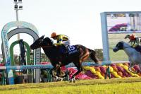  ڥޥãӡֿۣ͵󥿥ޥ󥿥뤬ƱǯսޥǣơΣǣ꡼Ϥ