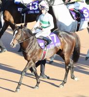  ڥޥCS2ֿ͵å6塡CǥࡼּϴԤǤȻפޤ