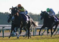  �ڥޥ���CS�ۥ��󥫥Ĥ��󡡴�������󥿥�ޥ󥿥�֤��Υ��ƥ��꡼�ǤϷ䤬�ʤ��͡������ζ��Ϥ�λ�