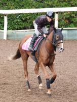  ʼJGPۥǥ磻ޤ2Υȥޥ812֡ʤǤVꥹ67֡Ƚ