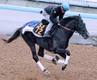  ݡ2SɤäƤҤȸۥΥå졼ĩॾȥޡɵ֤Ϥ¿1ƬȻפ