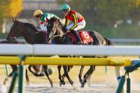  쥹2Sۥȥ2塡̵ǰΥޡɡ֥եäȴƤޤä