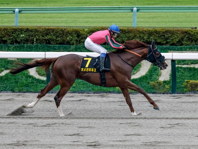 【チャンピオンズC出走馬決定順】フルゲート16頭に24頭が登録 オメガギネスやサントノーレなど8頭が除外見込み