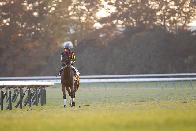 ジェンティルドンナが16歳で死亡 12年の牝馬三冠などGI・7勝