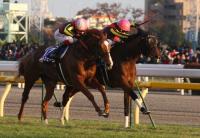  ̾�ƥ�����ƥ���ɥ�ʻह��16�С�12ǯ����3����12&13ǯJCϢ�ơ�14ǯͭ�ϵ�ǰͭ��V