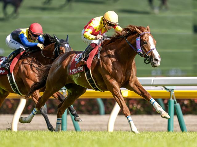 芝短距離重賞5勝のトウシンマカオが登録抹消 アロースタッドで種牡馬入りの予定