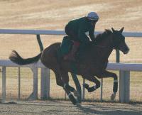  �ڥ���ѥ�C�۳����ϥ���������������ɤ������٥�������Ԣ�����Ҥǡ���ȡפ����!