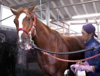  ���Ĵ���ե��󥿥ӥ塼2���ե������С���󥰤�Ʊ��ƣ�Ŀ������ʡ�&����������ꡡ���󥨥�ڥ顼�����������