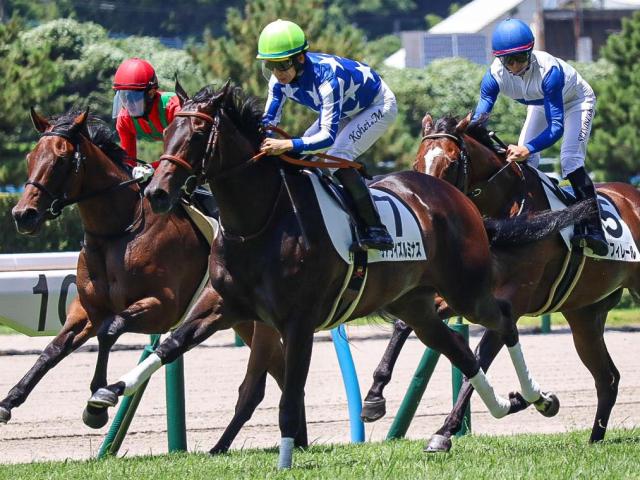 【POG】良血馬リアライズルミナスが帰厩 来月20日の阪神マイル戦で復帰へ/馬三郎のつぶやき