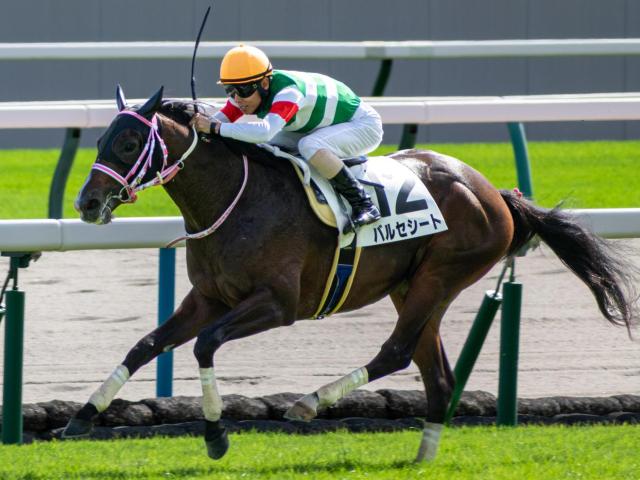 【京都2歳S】半姉は快足レシステンシア バルセシートが無敗戴冠なるか