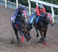  �ڥ����ԥ���C1�����ɤ��ۥڥץ��ɥʥ��롡��ϩ1F12��1����ѻաֺ����Ͻ����ˤ⤷�ä������