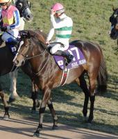  ưϡۥޥCS6Υåϰ³Cǥࡼǹޥ